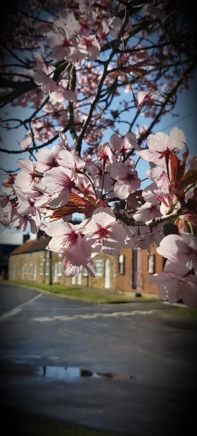 Holiday home Stone Cottage, Idyllic Village Ingham (Lincolnshire)